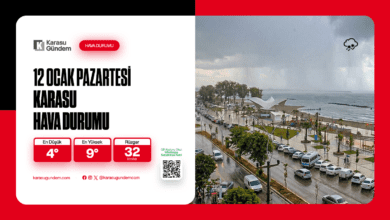 12 Ocak Karasu Hava Durumu