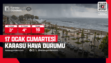 17 Ocak 2026 Karasu Hava Durumu