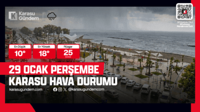 29 ocak 2026 karasu hava durumu