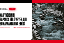 Kar Yağışının Sapanca Gölüne Olumlu Etkisi