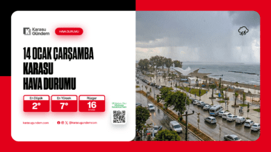 14 Ocak Karasu Hava Durumu