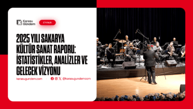 Sakarya'nın Kültür ve Sanat raporu