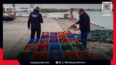 Sakarya Karasu'da yasal kotayı aştığı için el konulan 850 kilogram kalkan balığı.