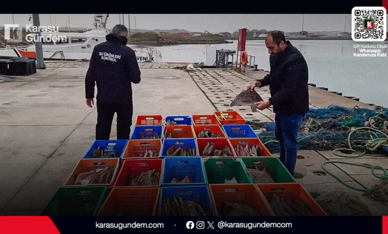 Sakarya Karasu'da yasal kotayı aştığı için el konulan 850 kilogram kalkan balığı.