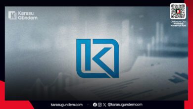 Karasu KARSAŞ 2025 Yılı Özet Mali Gelir Verileri Tablosu