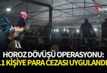 image 0b5ce1d9 6e34 4491 8d04 4dcd5e8b2c79