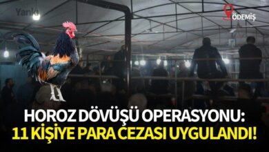 image 0b5ce1d9 6e34 4491 8d04 4dcd5e8b2c79