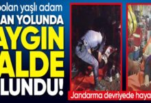 image 338ef09a b35d 41b3 9de9 e58c248e2468