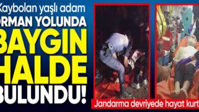 image 338ef09a b35d 41b3 9de9 e58c248e2468