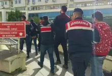 image 47223dd8 b267 4d0d 9a2d 85d94a885b0b