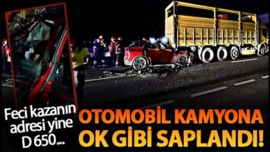 image 72833d42 fdb0 465c a5c6 ad4145b43d65