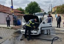 image 7d28a286 3d34 4895 bbcd 7f4f56d2aa12