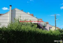 image 81bc6eff 9afa 4af9 896a 62813c471452