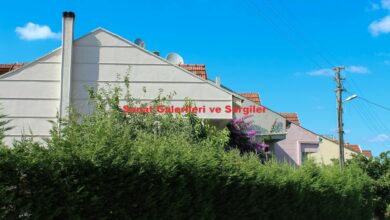 image 81bc6eff 9afa 4af9 896a 62813c471452