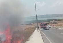 image 8205f9a4 ae3b 48ab ae09 9531dda96f13