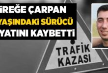 image cbbcbfce 1188 40cc 869a 8e9ee30fa79d