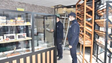 Sakarya Gıda Denetimleri: Son Tüketim Tarihi Geçen Tavuklar Ele Geçirildi 4 image e295dbd3 f0b8 4f42 8dc7 3b8b48648efc