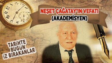 image e6191d29 3983 4fcc 926a 2fd386b50f96