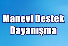 image efa2a1fd 2b20 4c5d 9e3f 4718e0024940