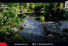 Sakarya Karasu Maden Deresi şelalesi, tarihi maden tünelleri ve doğa yürüyüşü (trekking) parkuru.