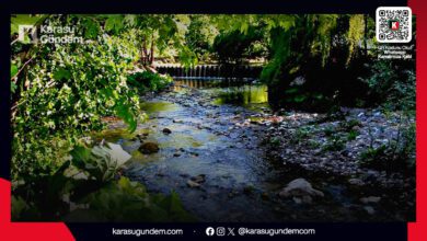 Sakarya Karasu Maden Deresi şelalesi, tarihi maden tünelleri ve doğa yürüyüşü (trekking) parkuru.