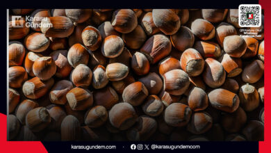 27 Mart 2026 Sakarya Karasu serbest piyasa güncel kabuklu fındık fiyatları ve üretici detayları