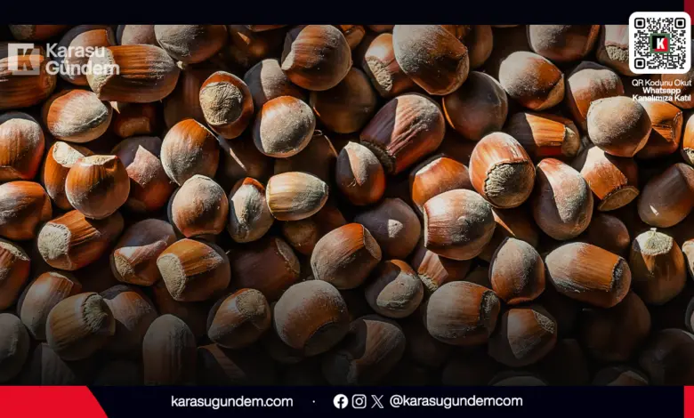 Karasu ve Sakarya'da Fındık Fiyatları Çakıldı: 27 Mart Rakamları 4 27 Mart 2026 Sakarya Karasu serbest piyasa güncel kabuklu fındık fiyatları ve üretici detayları