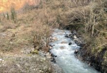 sakarya nehir aa 1785379