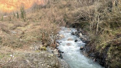 sakarya nehir aa 1785379