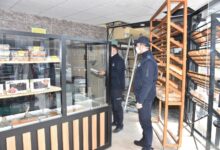 image 2c2a77ab e752 4dfa b6c8 bc31aeb5d749