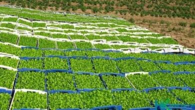 image 976c24d8 04c4 4daf b139 4f59b1fecd2b